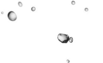 https://freshdetailkc.com/wp-content/uploads/2021/10/img-bubbles-hero-1.png
